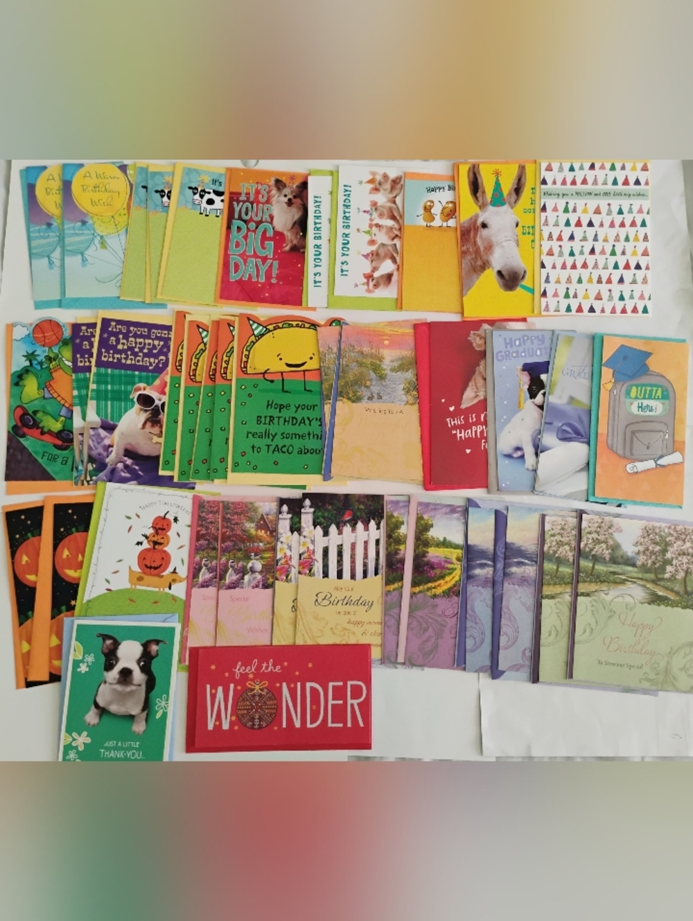 Lot Of 40 Assorted Greeting Cards W/ Envelopes Birthday Holiday Hallmark Dogs